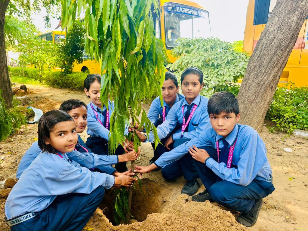 211addb3-d204-4117-a639-875d8074b76f